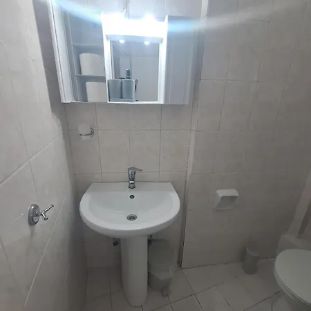 Alexandros Landhuis *