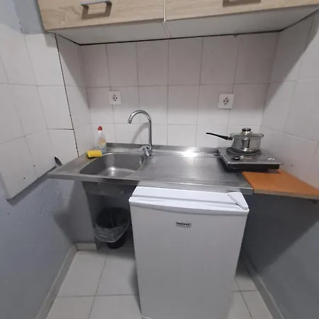 Alexandros Landhuis *